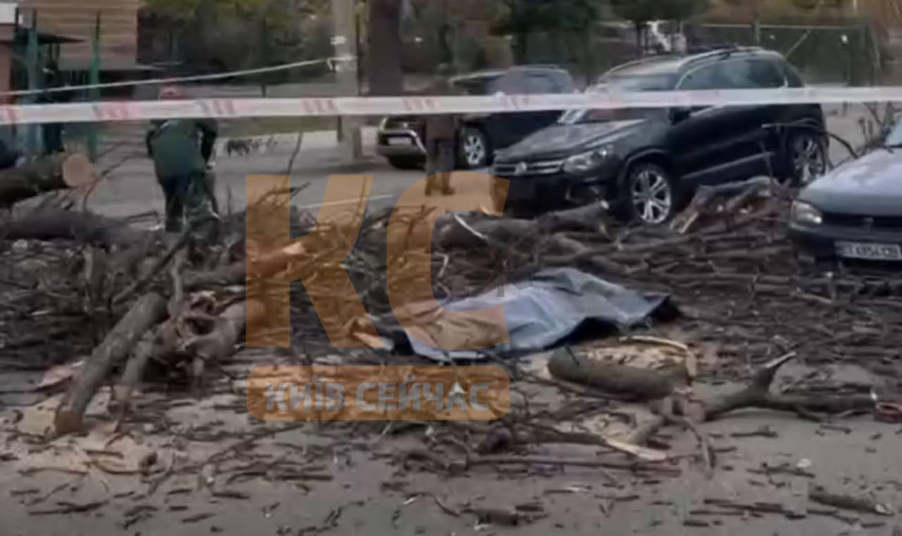В Киеве на Лукьяновке дерево упало на человека, он погиб
