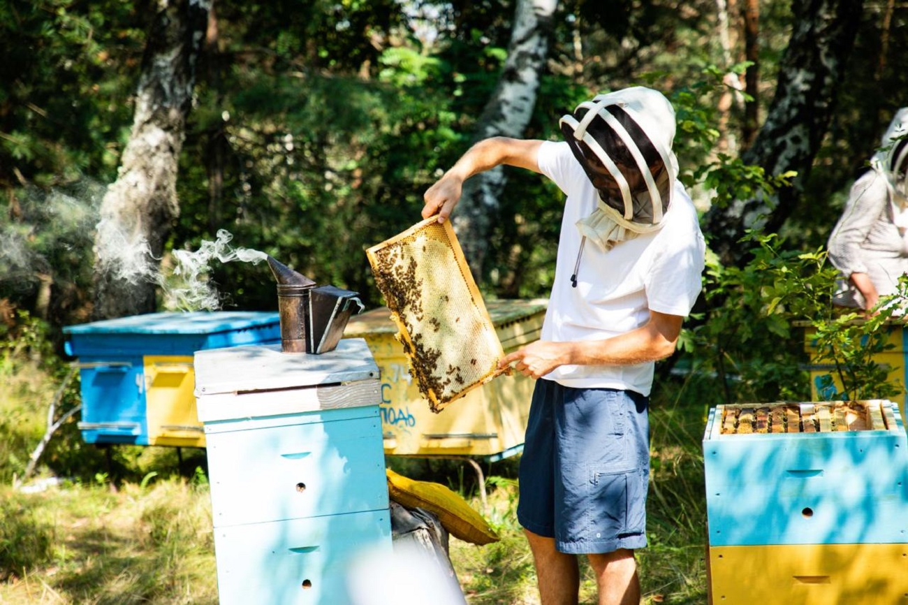 Бізнес з нуля. Як колишні військові розвивають власну справу після фронту