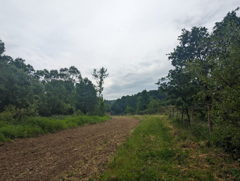 Заплив в один кінець. Як чоловіки штурмують Тису та чим це небезпечно