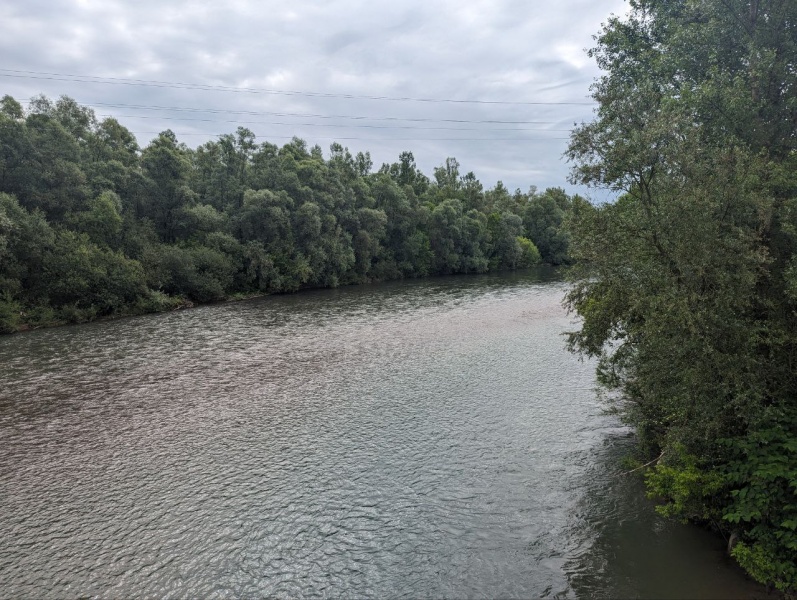 Заплив в один кінець. Як чоловіки штурмують Тису та чим це небезпечно