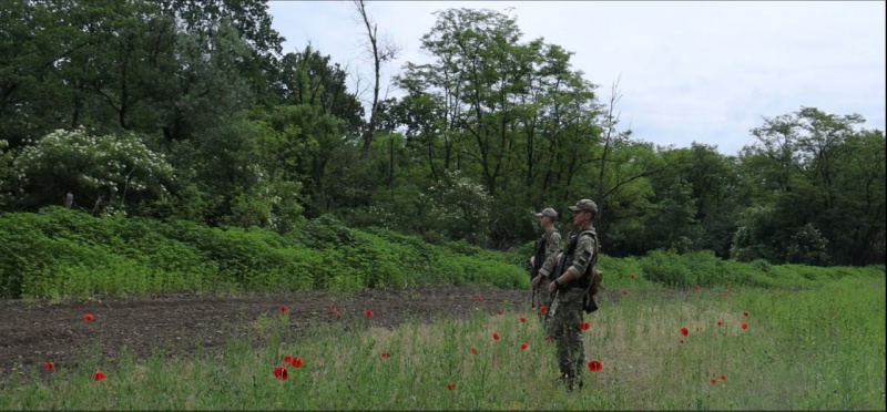 Заплив в один кінець. Як чоловіки штурмують Тису та чим це небезпечно