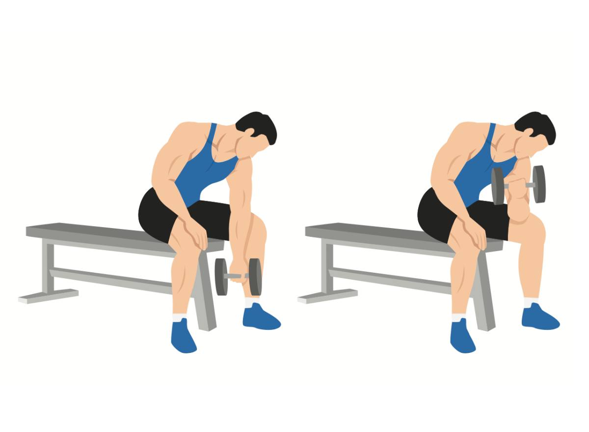 5 эффективных тренировок, которые помогут накачать сильные руки дома