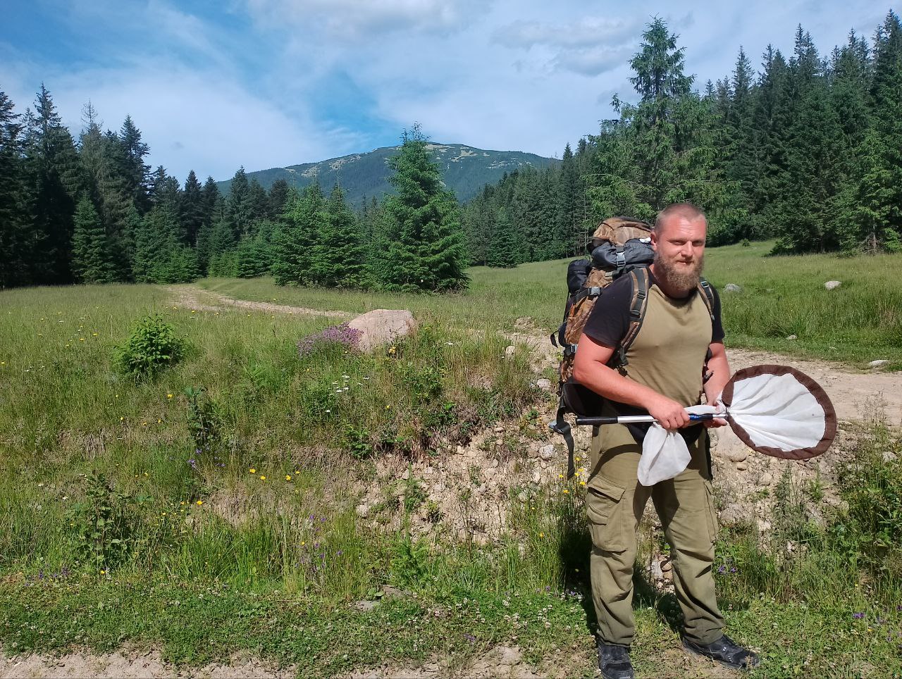 Почему в Украине исчезают пчелы и где зимуют мухи: интервью с энтомологом