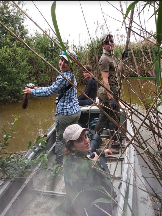 Куда исчезают воробьи и какие птицы могут &quot;говорить&quot;: интервью с орнитологом