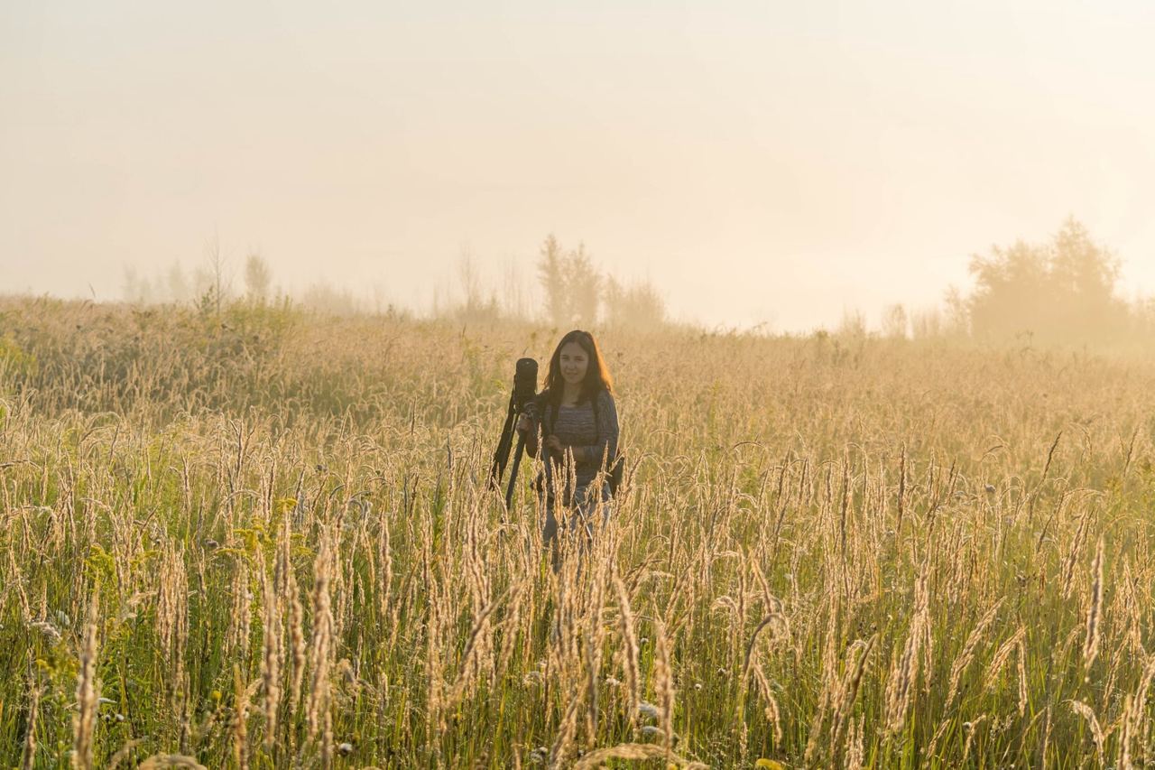 Куда исчезают воробьи и какие птицы могут &quot;говорить&quot;: интервью с орнитологом