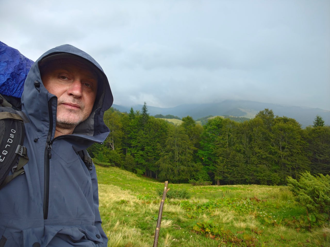 Животные убегают, а леса застраивают: что на самом деле происходит в Карпатах во время войны