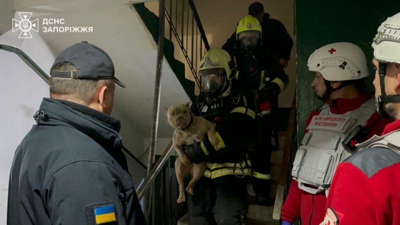 Zelenskyy confirms civilian deaths in Russian night attack, urges allies to respond