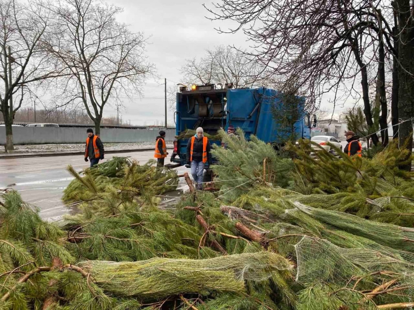В Одессе продавцы выбросили на улицы сотни непроданных елок (фото)