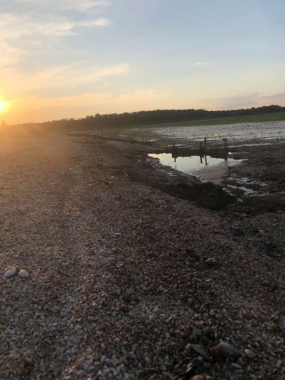 На дні Каховського водосховища утворилися городи: там не лише картопля  (фото)