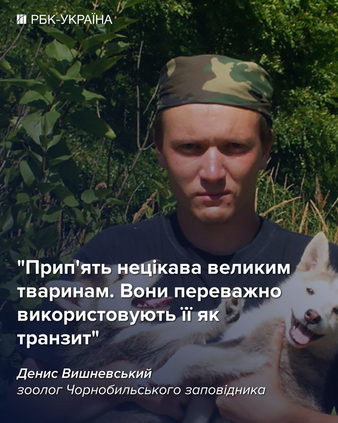 Водятся ли мутанты в Чернобыле и кто живет в рыжем лесу: блиц о животных зоны отчуждения