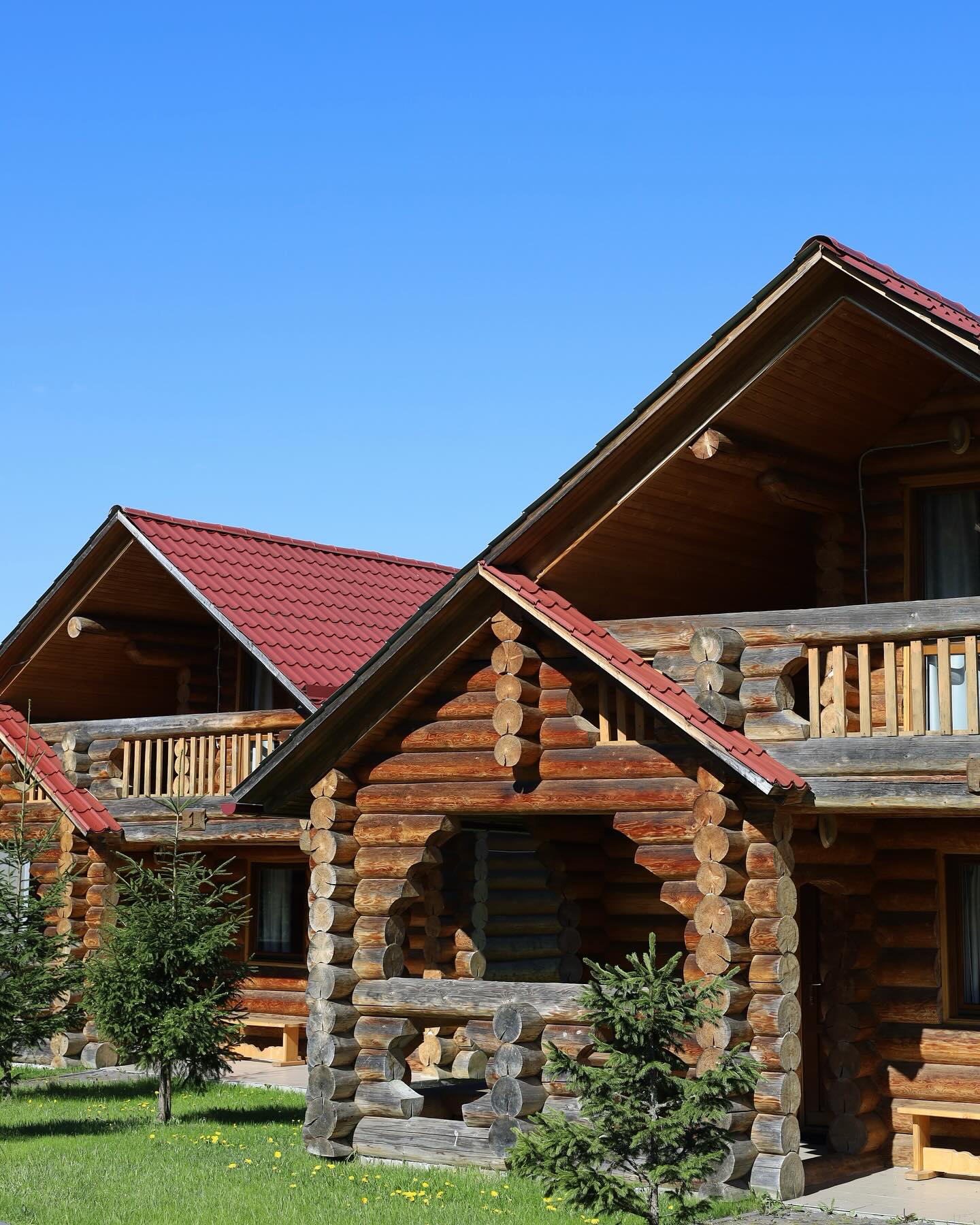 Весняні вихідні в Карпатах: топ будинків і котеджів, де можна відпочити на природі