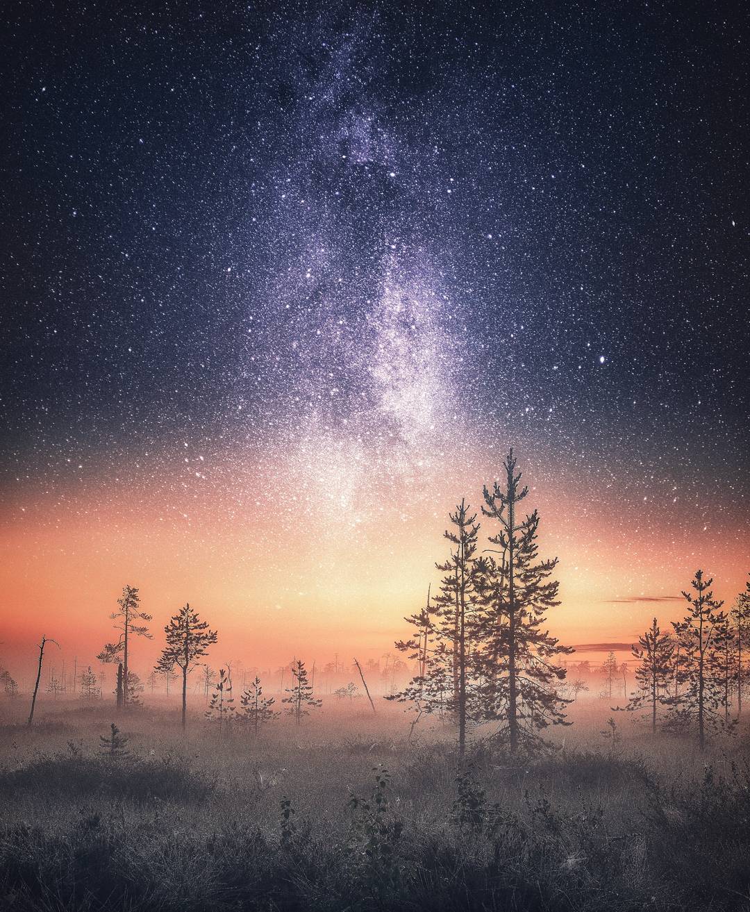 Показали, как выглядит самое сказочное место на Земле: фото, от которых перехватывает дух