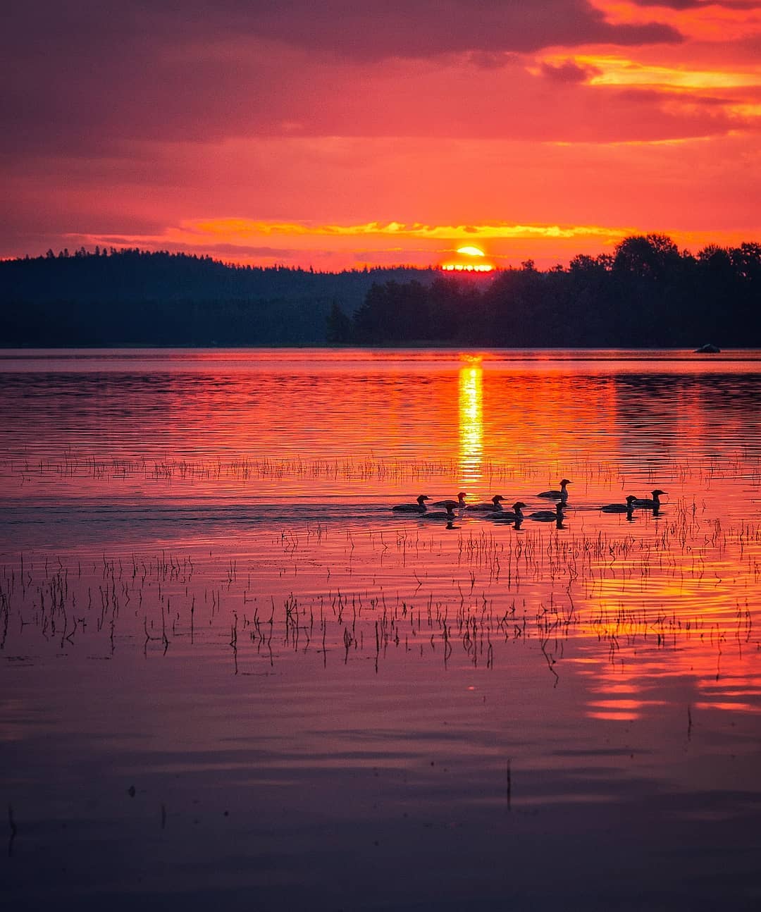 Показали, как выглядит самое сказочное место на Земле: фото, от которых перехватывает дух