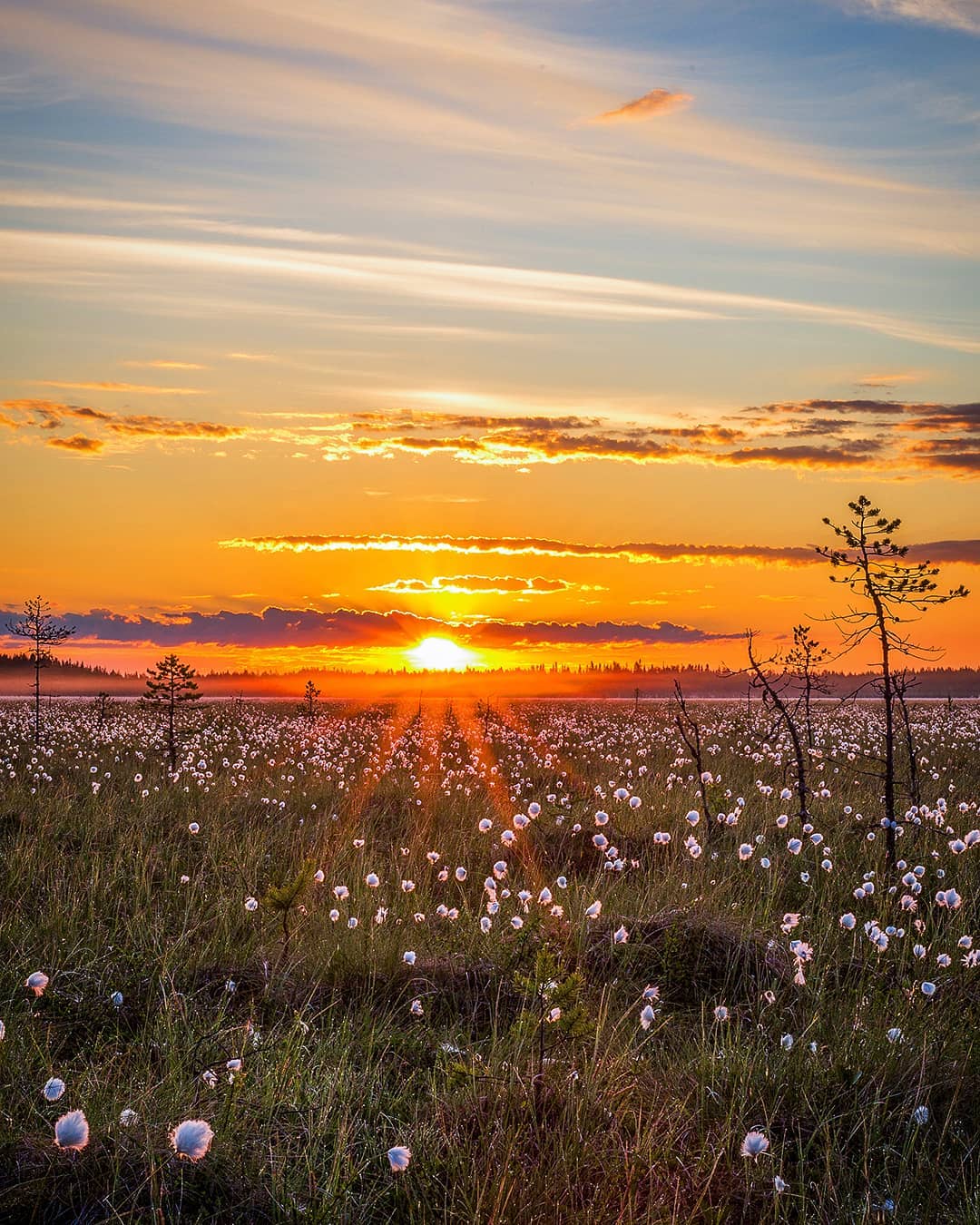 Показали, как выглядит самое сказочное место на Земле: фото, от которых перехватывает дух