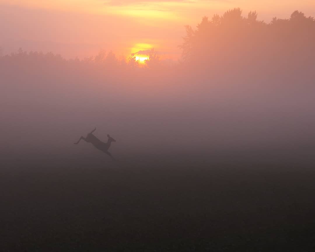 Показали, как выглядит самое сказочное место на Земле: фото, от которых перехватывает дух