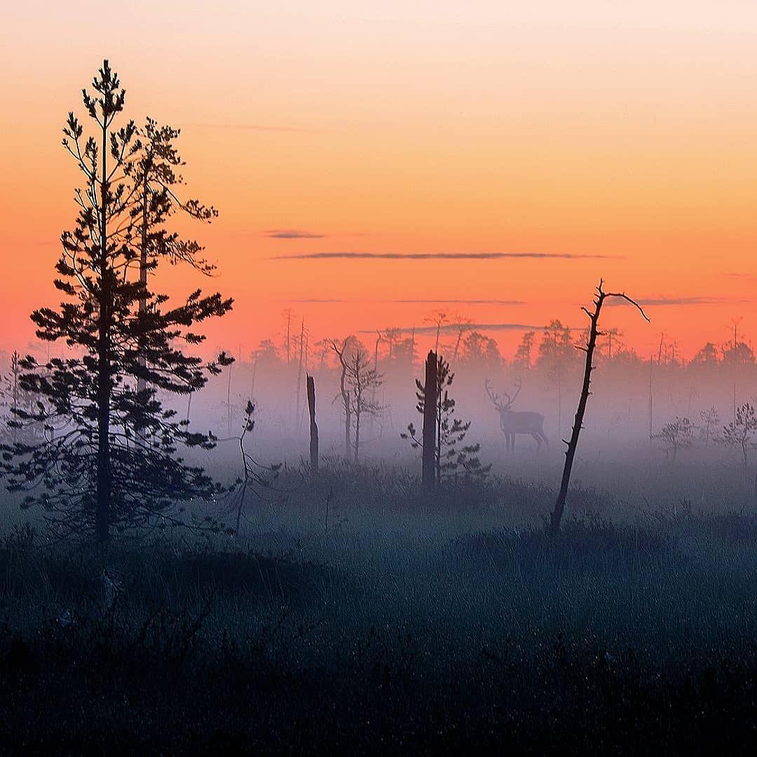 Показали, как выглядит самое сказочное место на Земле: фото, от которых перехватывает дух