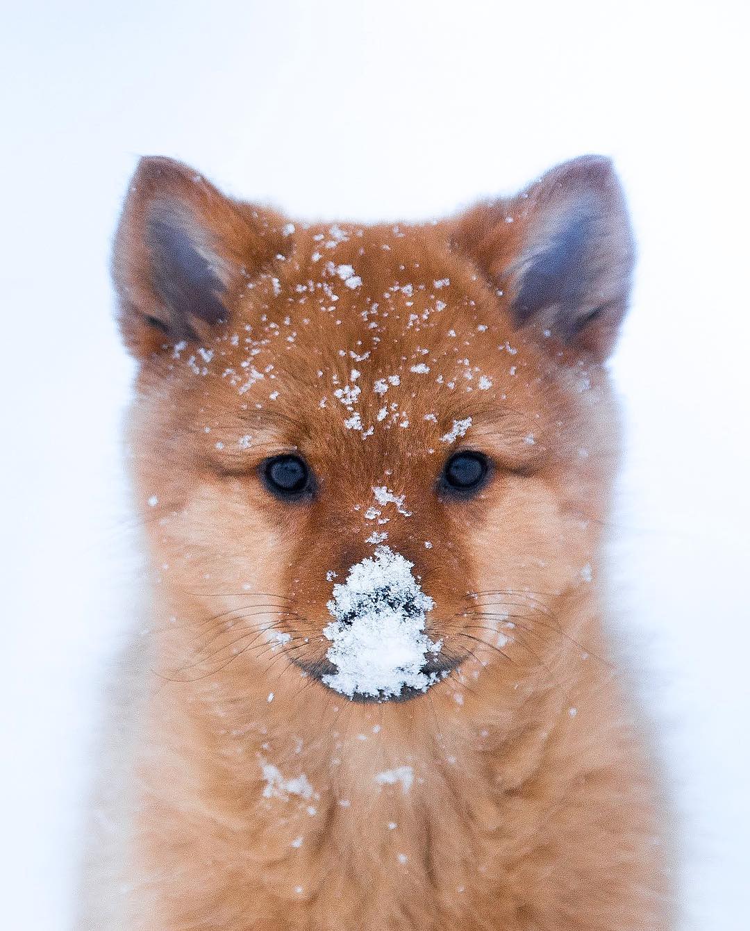 Показали, как выглядит самое сказочное место на Земле: фото, от которых перехватывает дух