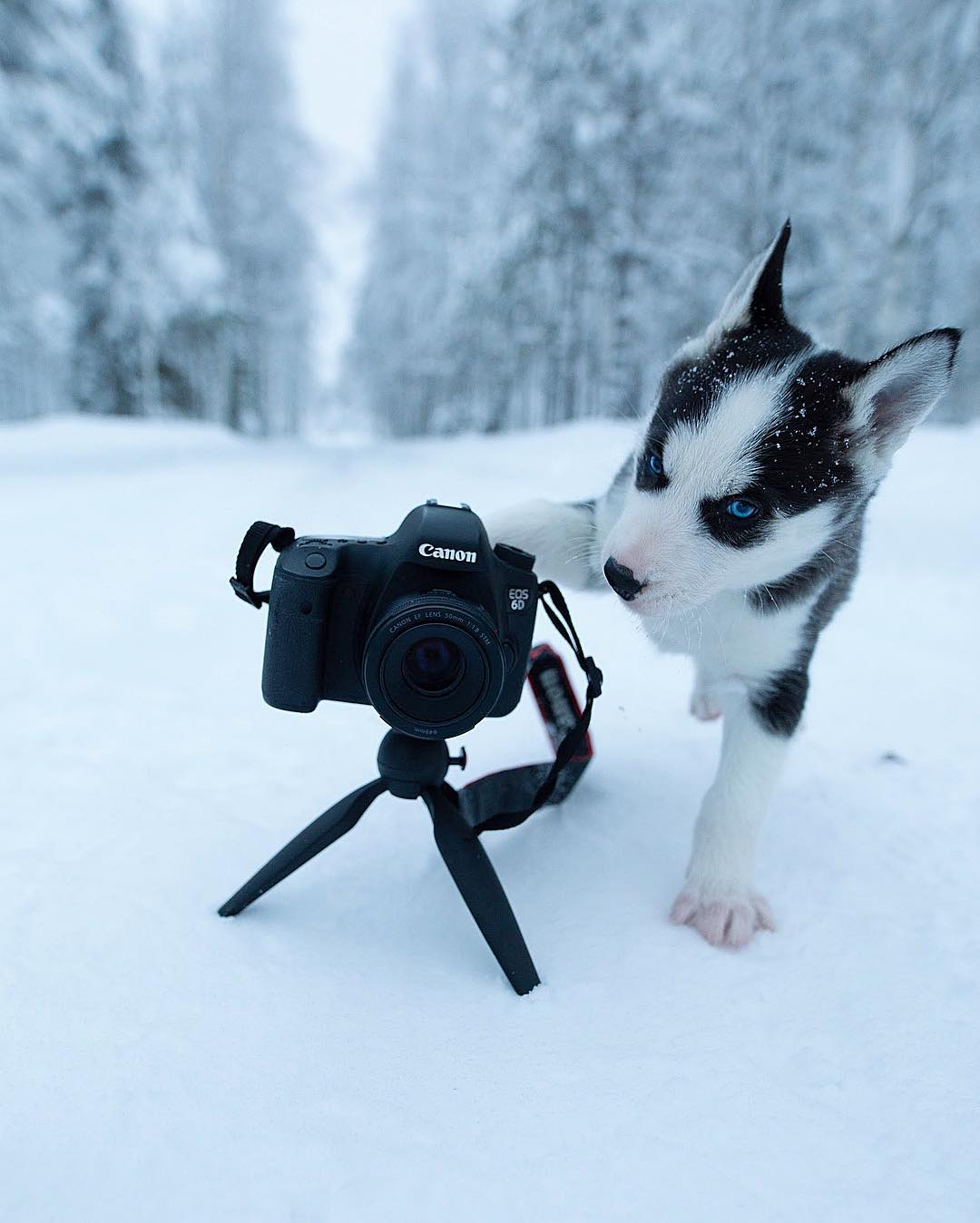 Показали, как выглядит самое сказочное место на Земле: фото, от которых перехватывает дух
