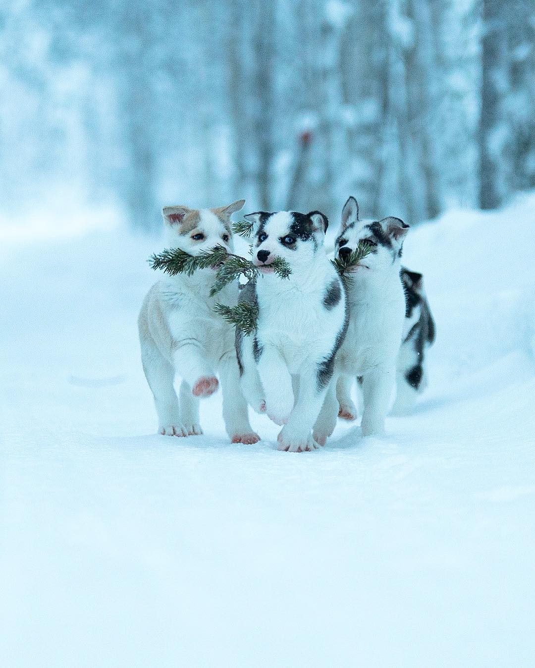 Показали, как выглядит самое сказочное место на Земле: фото, от которых перехватывает дух