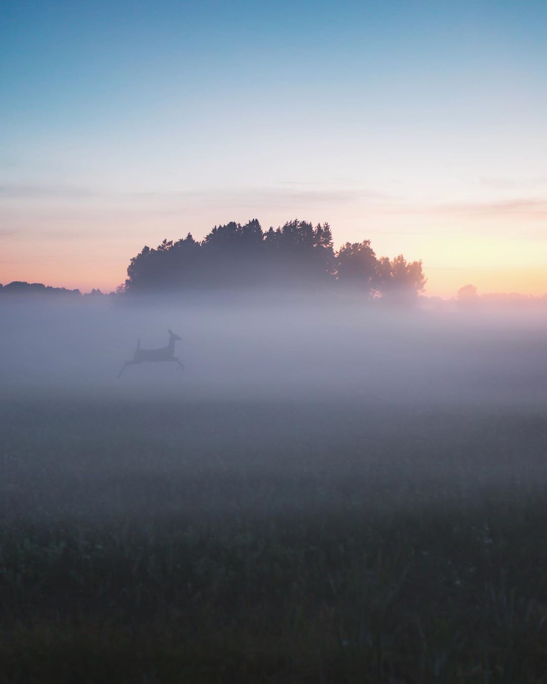 Показали, как выглядит самое сказочное место на Земле: фото, от которых перехватывает дух