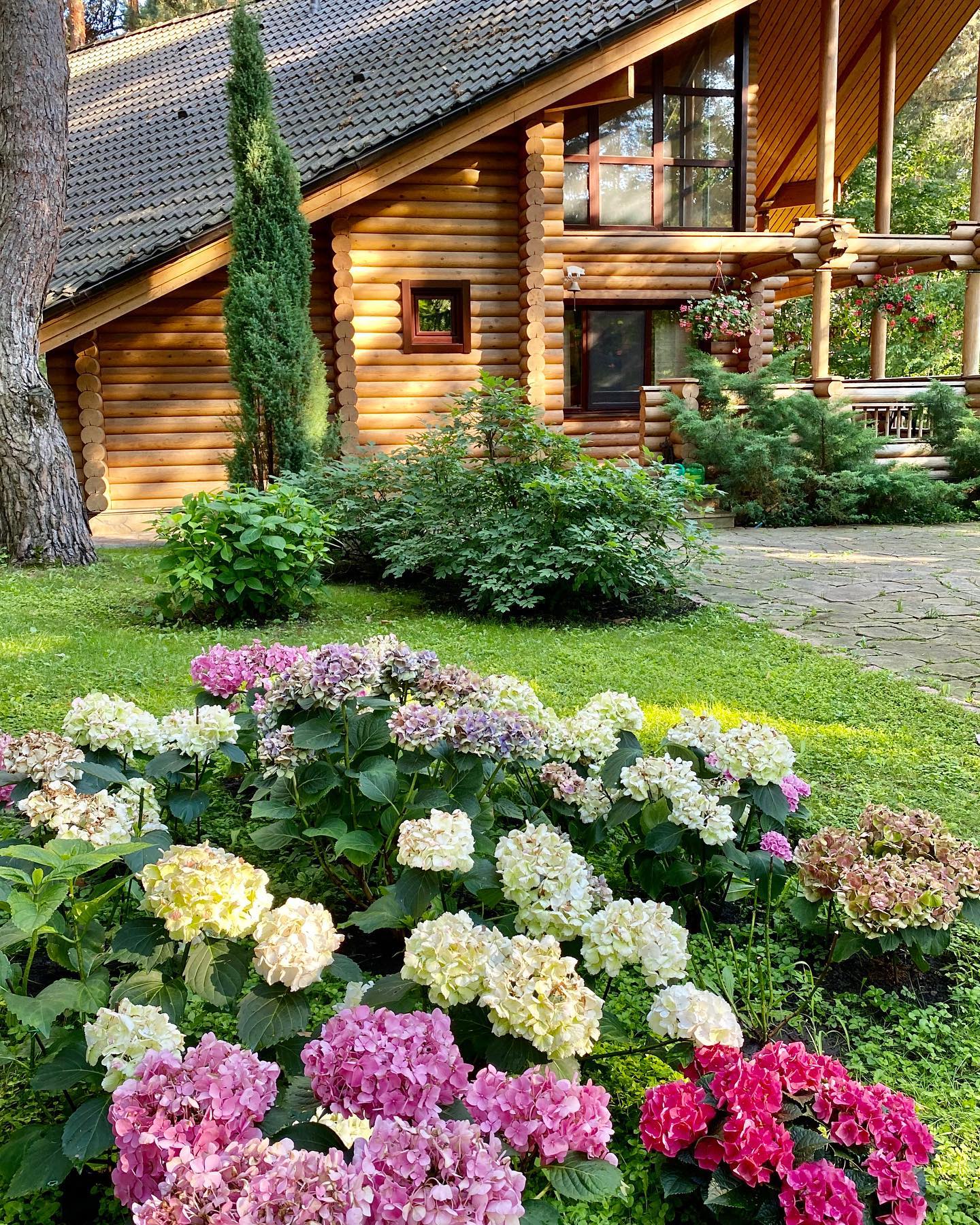 Не Італія і США. Де і з ким живе під час війни Софія Ротару