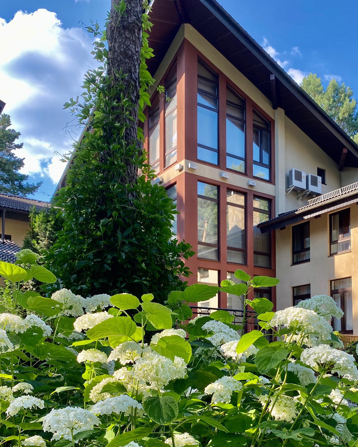 Не Італія і США. Де і з ким живе під час війни Софія Ротару