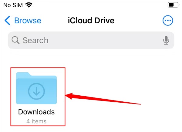 Ці дії допоможуть вам знайти файли та інші завантаження на iPhone чи iPad