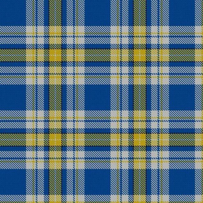 Футболка &quot;как у Зеленского&quot;: как в мире распространяется тренд на все украинское (фото)