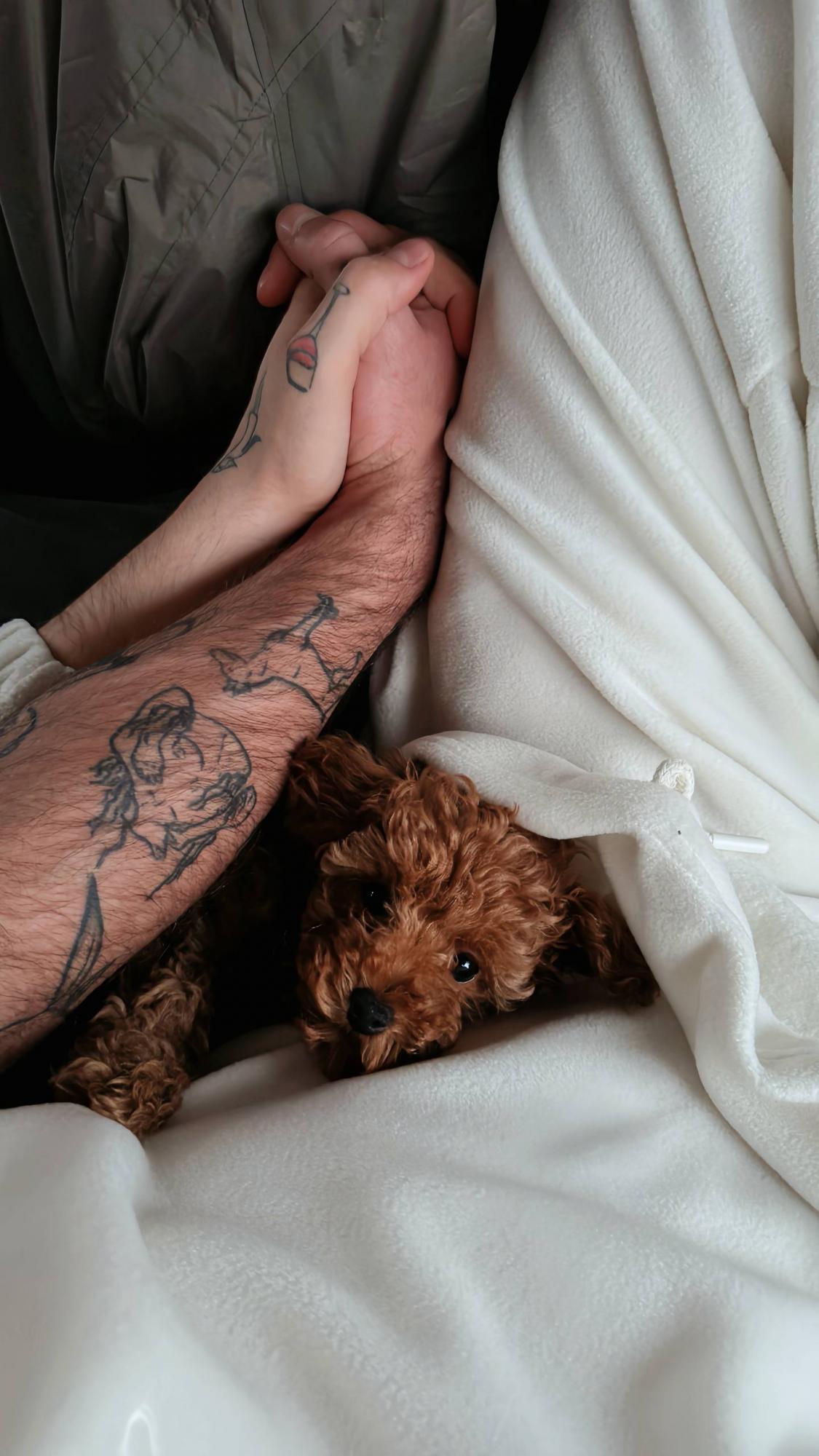 "З поповненням нас!" MELOVIN після заручин з військовим здивував новиною