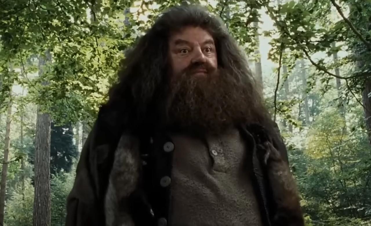 From Ted Lasso to Hogwarts: Brett Goldstein rumored for Hagrid role