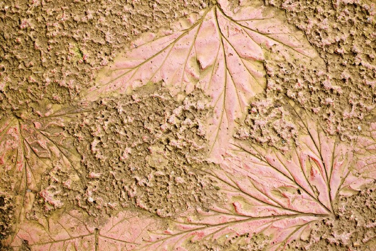 Ваші сусіди вже це знають. 7 причин, чому декоративне тинькування краще за шпалери та фарбу у 2025 році