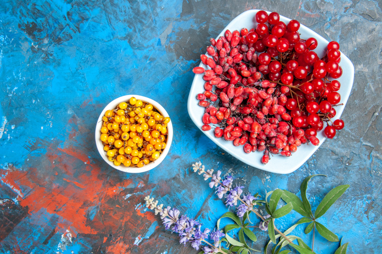 Названы 3 украинские ягоды, которые нужно есть зимой. Они суперполезны!