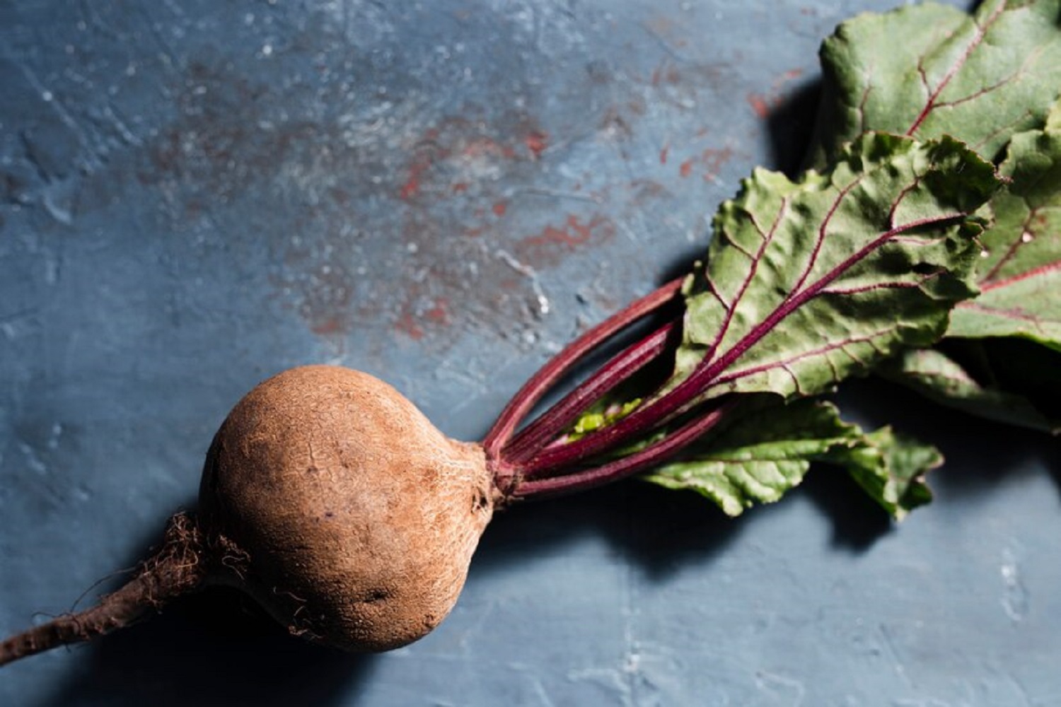 9 овочів, які зберігаються довше усіх смачними та свіжими