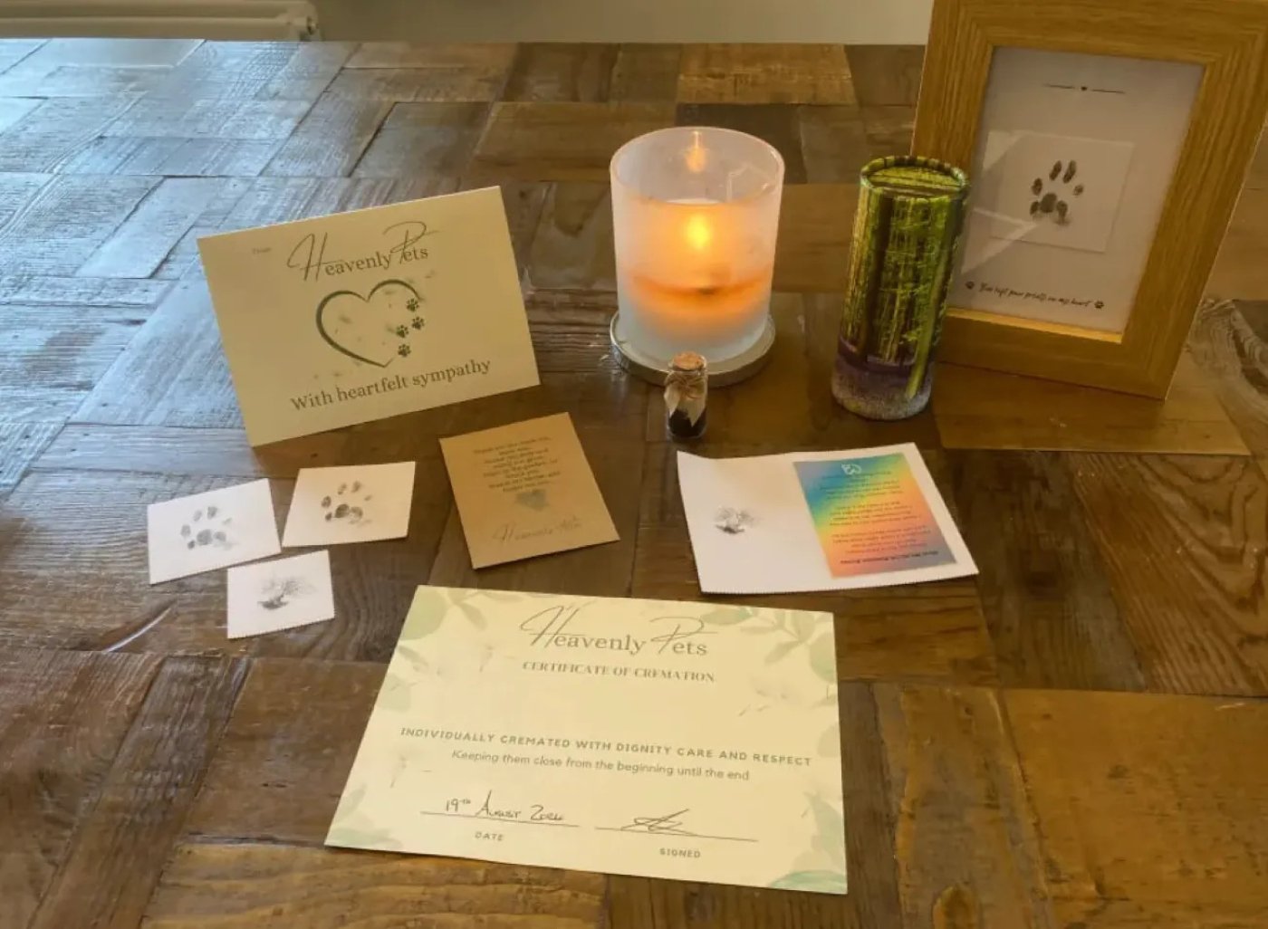 Кіт "повстав з мертвих" та за 4 дні після кремації повернувся додому