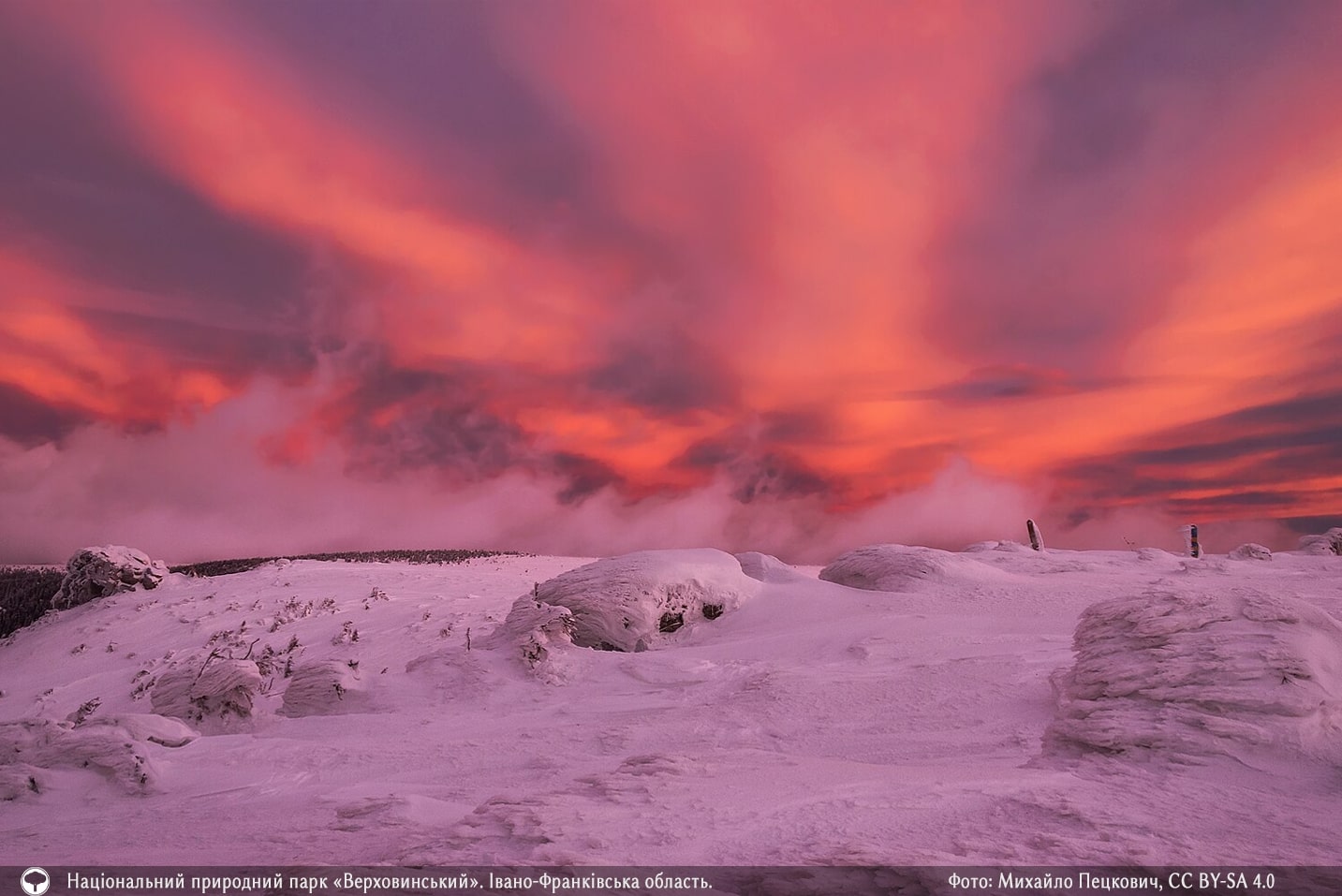 Представили 10 самых красивых фото природы со всей Украины. Это просто невероятно