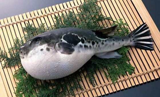 Самая опасная еда в мире: эти блюда категорически не стоит даже пробовать