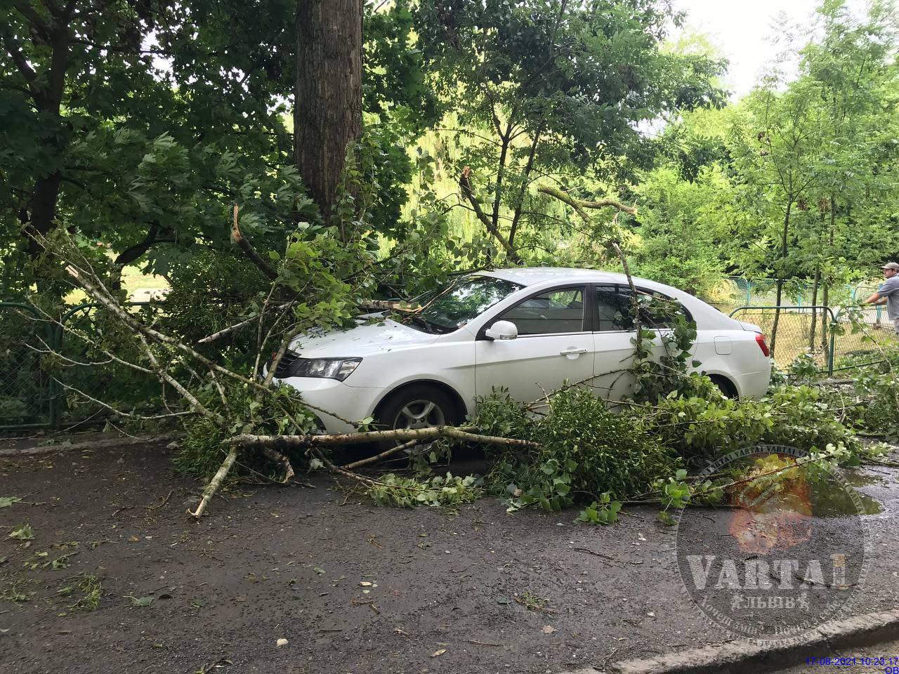 Львов снова накрыло ураганом: поваленные деревья и отключена электрика