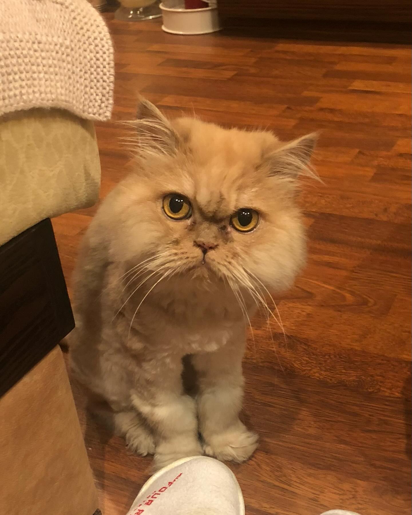 Виталий Козловский рассказал о тяжелой личной потере: &quot;ты передала меня в надежные руки&quot;