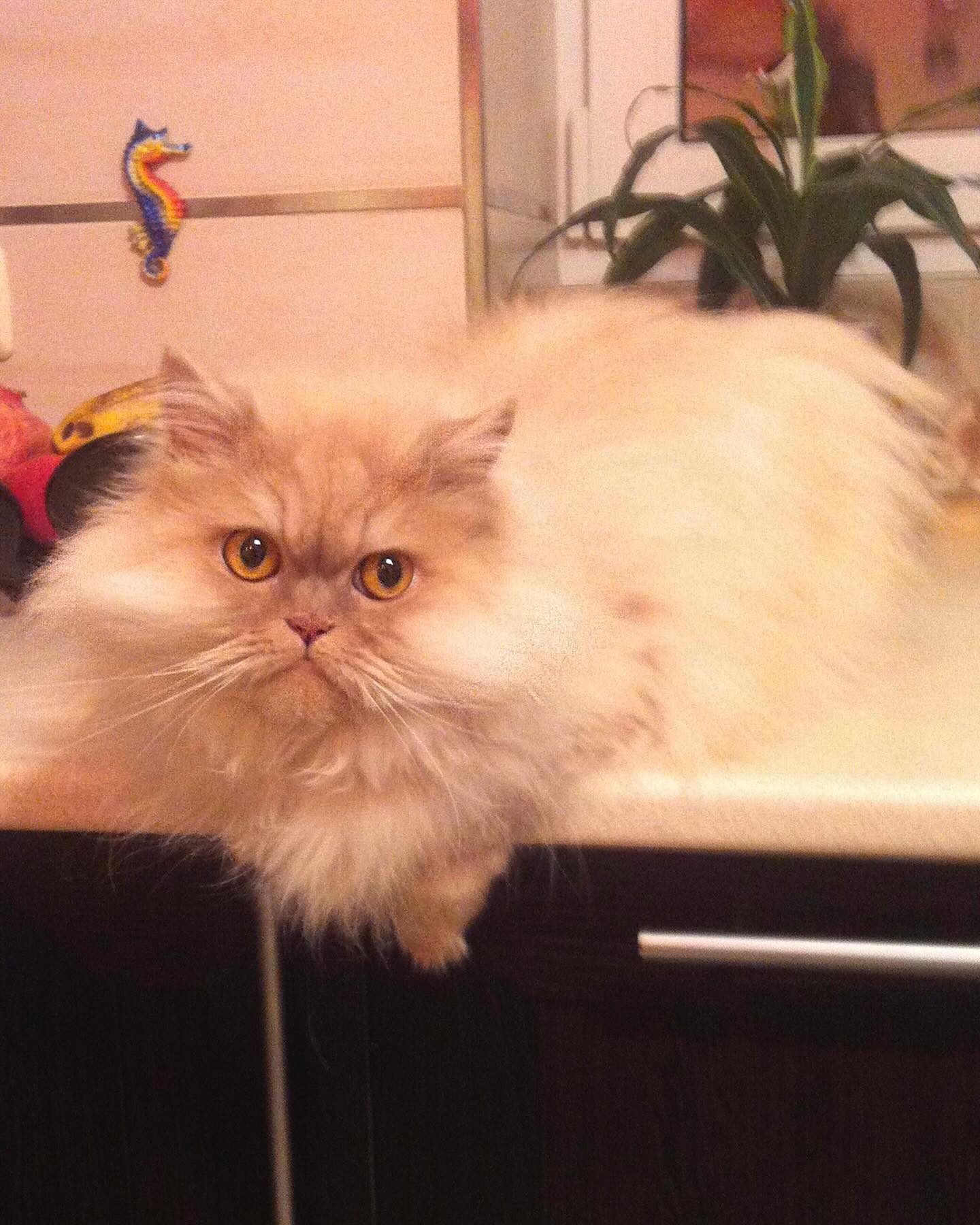 Виталий Козловский рассказал о тяжелой личной потере: &quot;ты передала меня в надежные руки&quot;