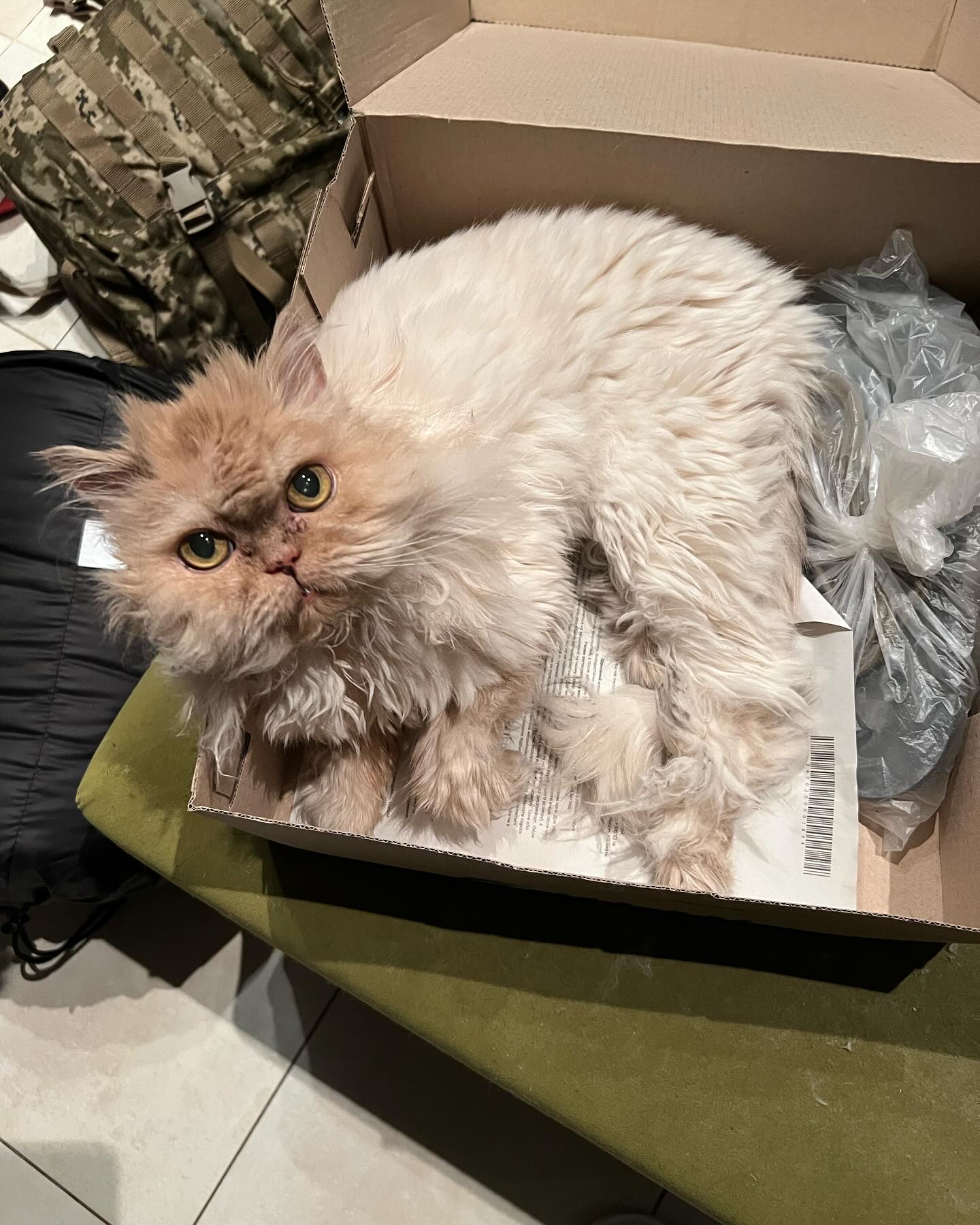 Виталий Козловский рассказал о тяжелой личной потере: &quot;ты передала меня в надежные руки&quot;