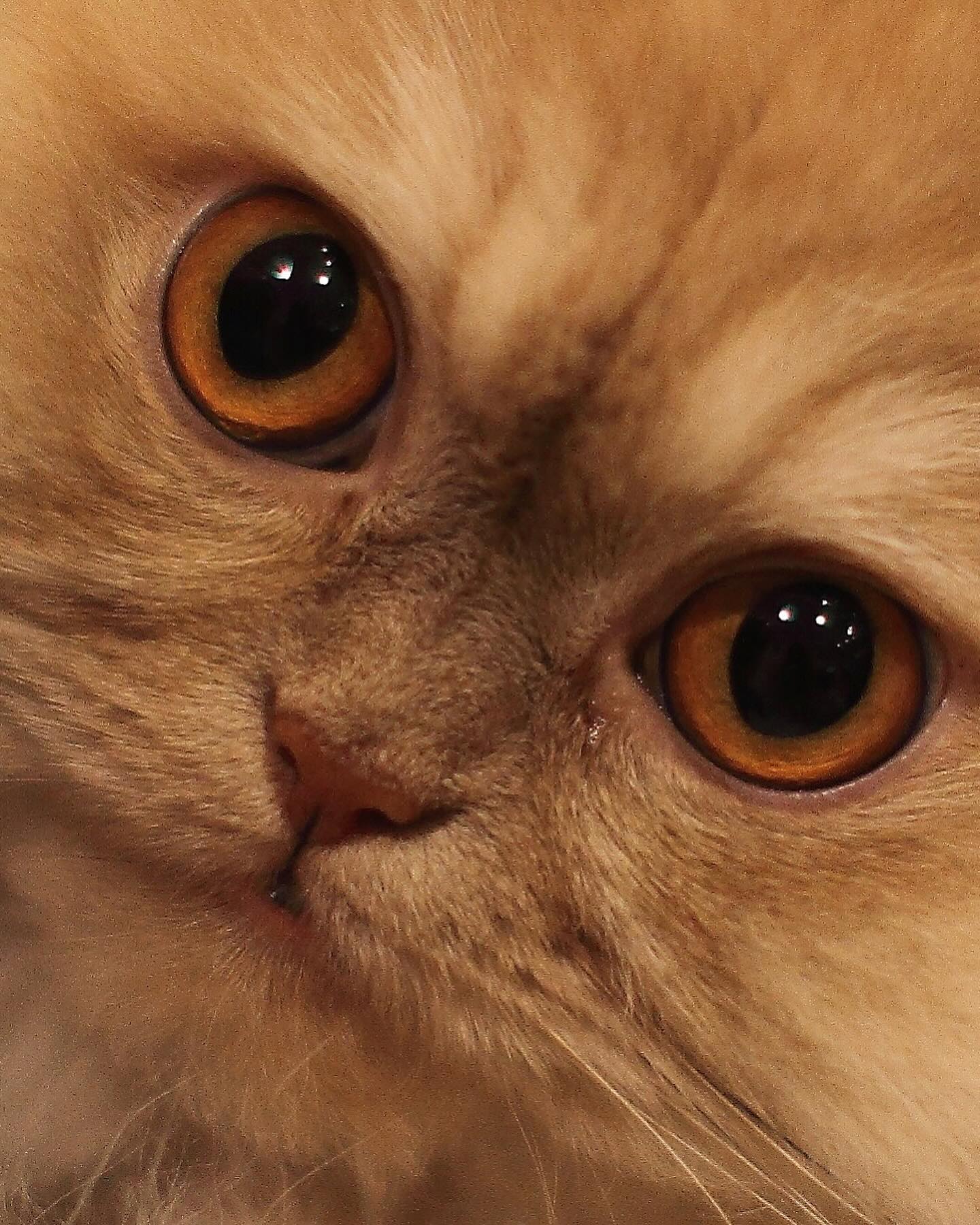 Виталий Козловский рассказал о тяжелой личной потере: &quot;ты передала меня в надежные руки&quot;