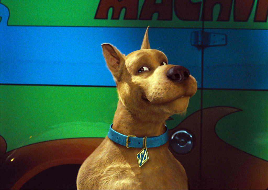 Топ-5 актеров фильма &quot;Скуби-Ду&quot; тогда и сейчас: чем они сегодня занимаются