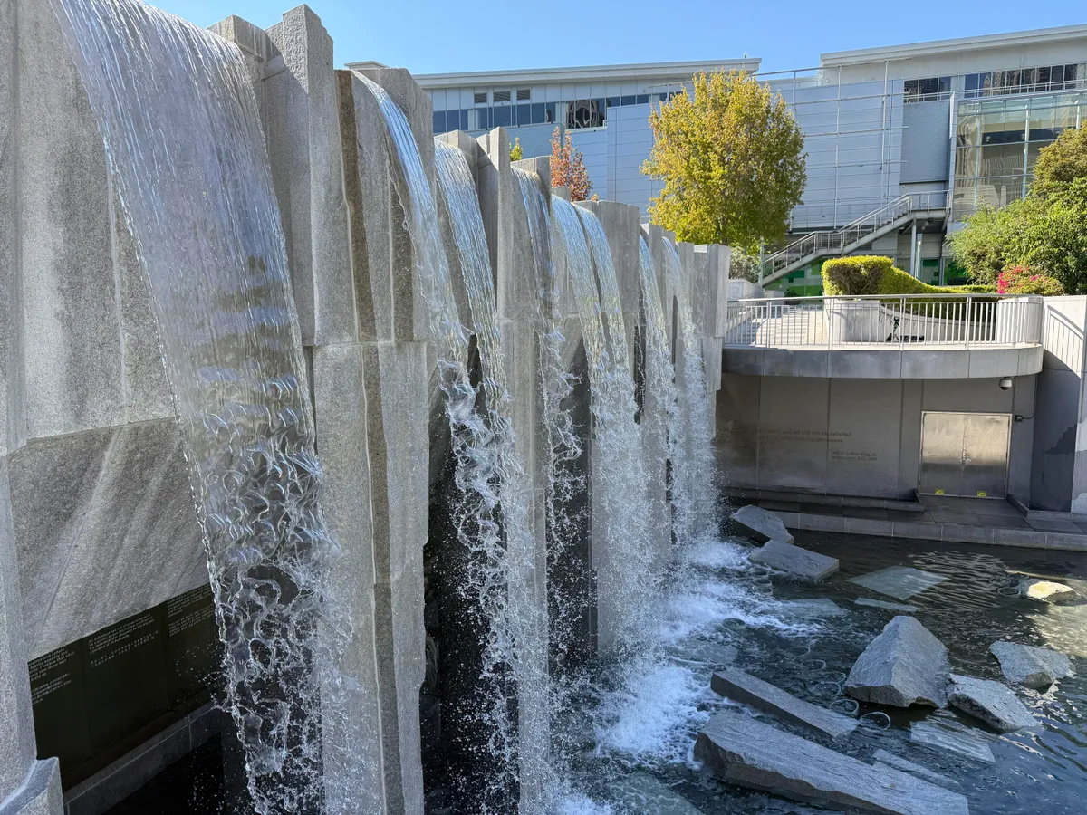 Сравнение камер iPhone 16 Pro Max и Samsung Galaxy S24: какой телефон снимает лучше (фото)