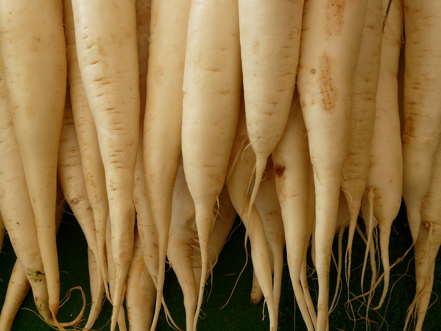 6 смачних овочів, які можна посадити в кінці літа та їсти вже восени