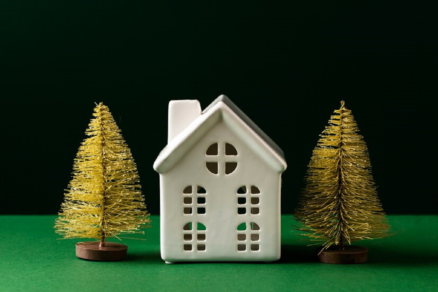 Они разрушают фундамент. Какие деревья нельзя сажать возле дома