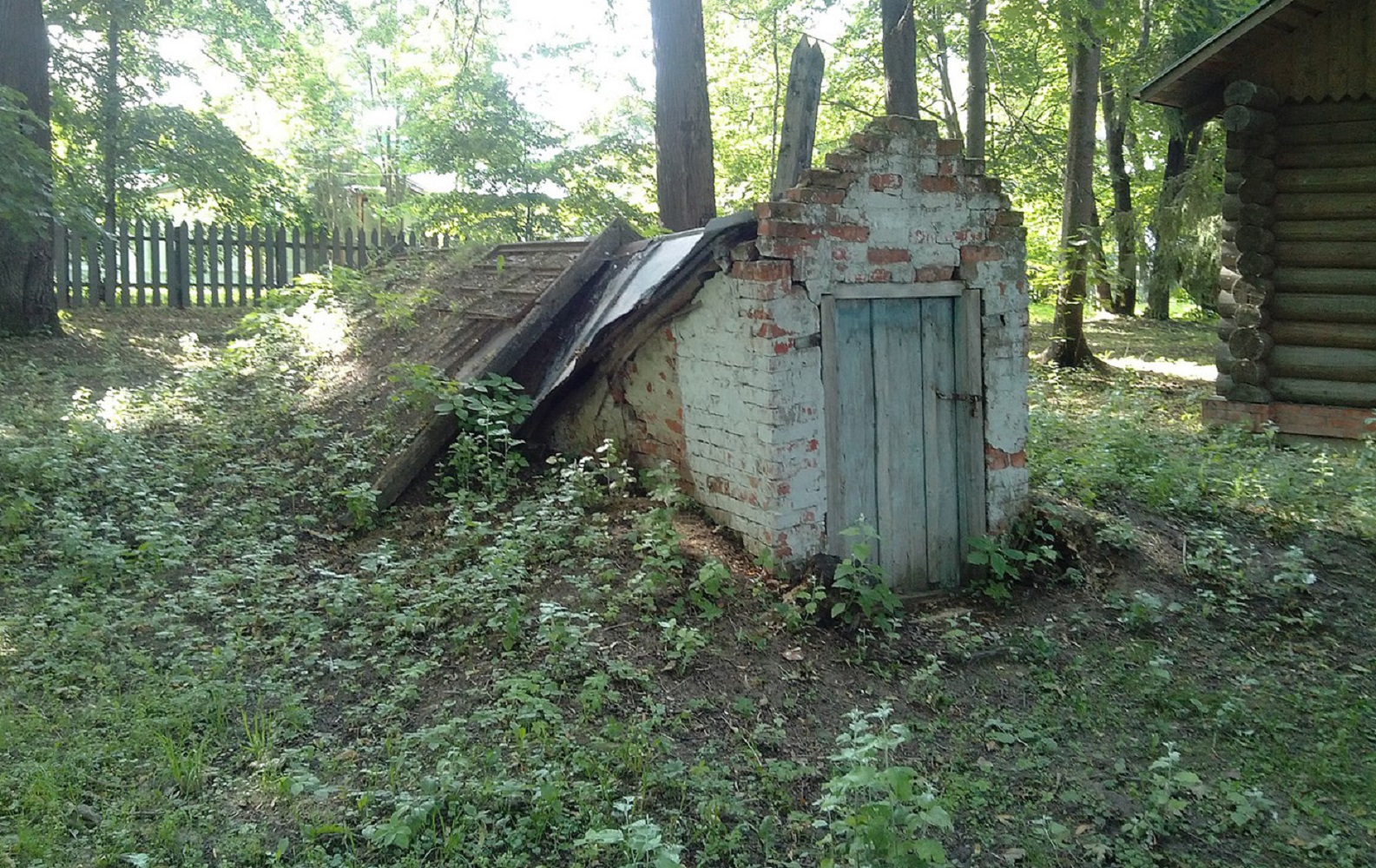 Как преодолеть сырость: готовим погреб или подвал к принятию урожая