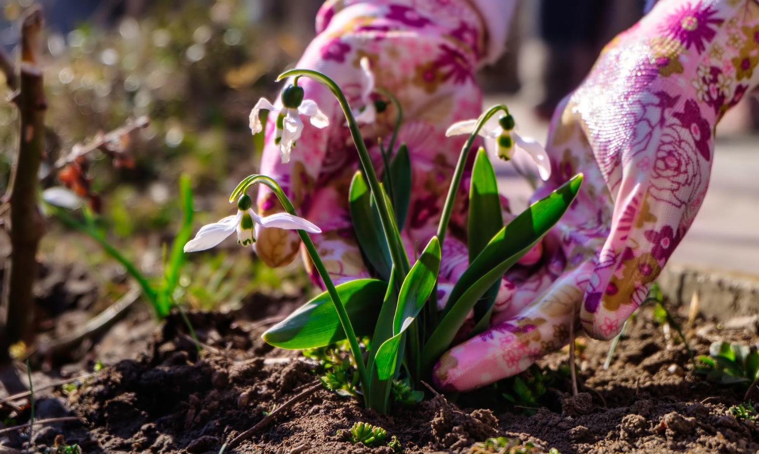 Жителей Киева предупредили о &quot;новых&quot; штрафах: что известно