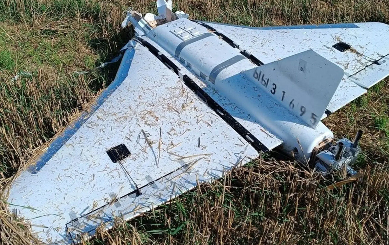 Вице-президент ПАСЕ лорд Дон Туиг: Никто не может понять, к чему именно стремится Трамп