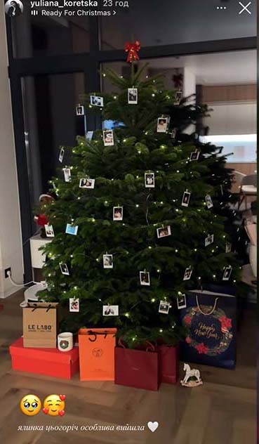 Як Решетніки, Дантес та інші українські зірки прикрасили свої ялинки до Різдва та Нового року