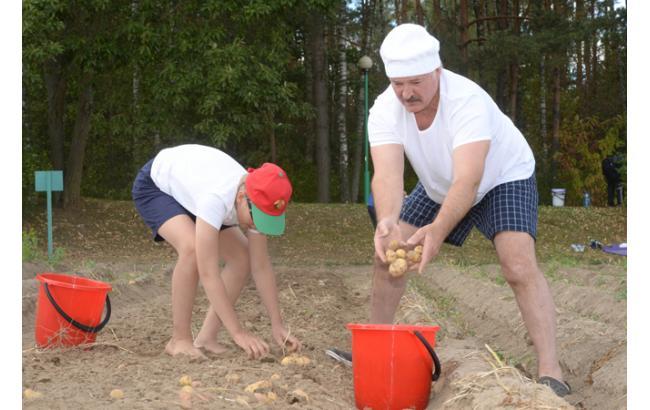 На официальном сайте Управления делами президента Беларуси продаются овощи и текстиль